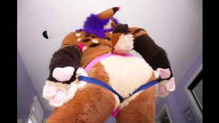 Sexy Fursuit Butts! #2.3 (Strobes) - ShameLess Prism