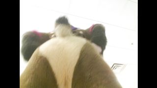 Sexy Fursuit Butts! #2.3 (Strobes) - ShameLess Prism