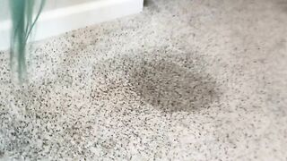 Pissing Thru My Panties on Carpet Cam 1 POV