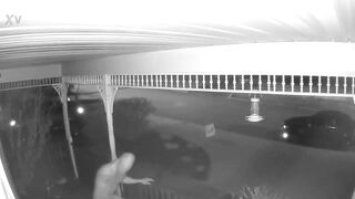 Clips from our Porch Cameras