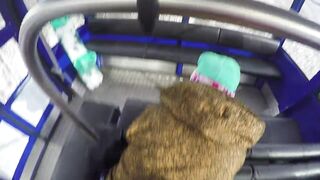 Sex with Hot Girl in the Cable Cars at the Ski Resort — POV Amateur Couple