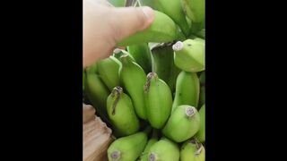 Masturbate using banana in the forest