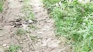 Masturbate using banana in the forest