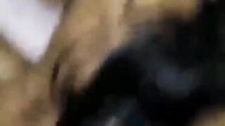 Dogy style sex home wife big boobs big ass