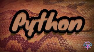 Python