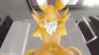 Renamon- Breeding in the hotel