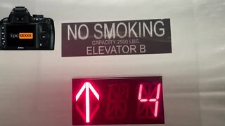 THE EXPLICIT ELEVATOR