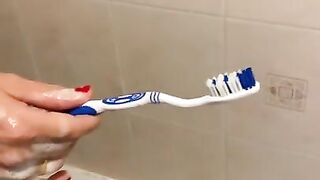 He came on my Toothbrush