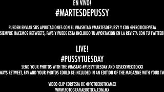 Martes de Pussy or Pussy Tuesday Live