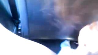 Bulgarian Gypsy Hooker Fucked in Car