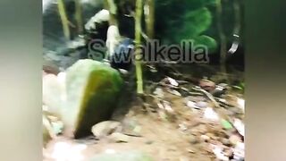 Srilankan Girl Showing her Nudes in a Public Waterfall වල් කෙල්ල දිය ඇල්ලක ගන්න ආතල් එක