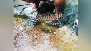 Srilankan Girl Showing her Nudes in a Public Waterfall වල් කෙල්ල දිය ඇල්ලක ගන්න ආතල් එක