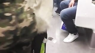 Je raffole de son gros cul en direct du metro