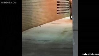 Hooker Sucking Dick In An Alley