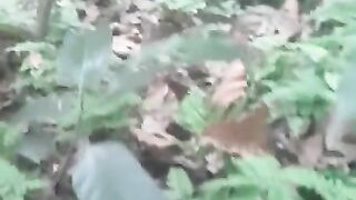 BIG ASS WIFE Doggy in JUNGLE Risky OUTDOOR