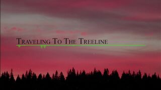 Traveling to the Treeline (Official Music Video).