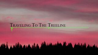 Traveling to the Treeline (Official Music Video).