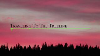 Traveling to the Treeline (Official Music Video).