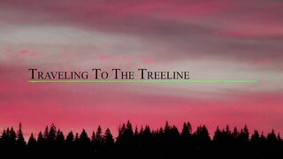 Traveling to the Treeline (Official Music Video).