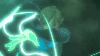 Breath of the Wild 2 Legend of Zelda Link Princess Zelda Animated Sableserv