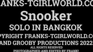 FRANK'S TGIRL WORLD: Horny Girl Snooker