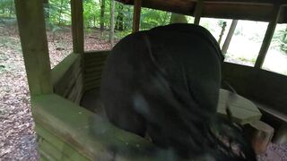 Ass flogging in picnic hut